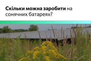 Скільки можна заробити завдяки сонячним батареям? фото