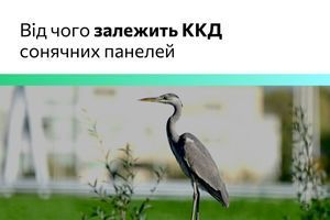 Від чого залежить ККД сонячних панелей? фото